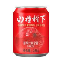 guanfang/冠芳 山楂饮料 238g*3 罐装