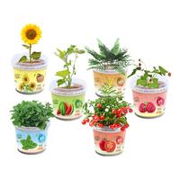 淘淘玩铺暑假儿童阳光种植科学实验套装男孩玩具女孩6-7-10-13岁 阳光种植6桶套装(6包种子+工具) 幼儿园观察课7-13岁小生物课