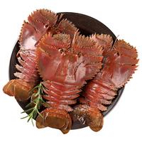 遇上鲜 舟山琵琶虾 海鲜 冷冻九齿扇虾 净重1350g (4-5只/斤) 源头直发