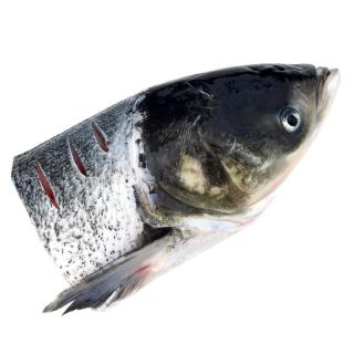 鲜喜爱 冷冻千岛湖有机鲢鱼头1.5斤 白鲢鱼头  生鲜鱼类 海鲜水产 有机鲢鱼头 750g