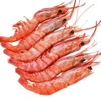 惊鲜东海舟山野生红虾去冰净重2斤  大虾类 海鲜刺身 生鲜  东海野生红虾 2斤(净重)