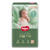 HUGGIES 好奇 小森林pro深睡大师纸尿裤NB60片(5kg以下)新生儿尿不湿 纸尿裤NB60(≤5kg)