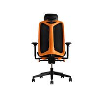 HermanMiller/赫曼米勒 人体工学 电竞椅 头枕 黄色