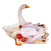 岽鲜 大鹅生鲜 杀后7-8斤 农家散养大白鹅新鲜冷冻嫩鹅肉 源头直发 大鹅杀后7-8斤