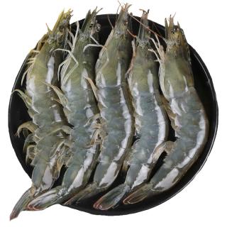 渔吻虾青岛大虾青虾鲜虾海虾白虾基围虾大对虾海捕大虾净重3斤 16-20cm盐冻大虾 3斤(净重)