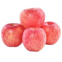 京地达陕西洛川苹果红富士生鲜水果净含量4.5斤单果200g+源头直发 洛川苹果|净重4.5斤|脆甜多汁