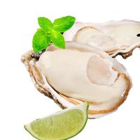 百鲜洽 乳山生蚝 鲜活特大 带壳 超大号5XL 净重9斤(15-20只) 贝类