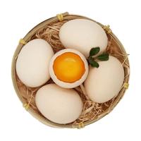 京鲜生 柴鸡蛋30枚 3斤 无抗生素 谷物喂养鲜鸡蛋 源头直发