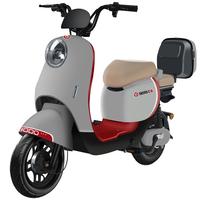 宝岛电动车新国标电动自行车成人男女双人锂电亲子代步俩轮电瓶车 能量灰/NFC手机互联/品质 20Ah超威铅酸电池/续航约65KM