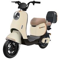 宝岛电动车新国标电动自行车成人男女双人锂电亲子代步俩轮电瓶车 治愈暖白/NFC手机互联/品质 20Ah超威铅酸电池/续航约65KM