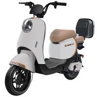 宝岛电动车新国标电动自行车成人男女双人锂电亲子代步俩轮电瓶车 冰台灰/NFC手机互联/品质 12Ah超威铅酸电池/续航约45KM