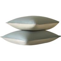 水星家纺枕套全棉枕头套100%纯棉A类枕头罩一对装双人家用48x74cm青 青