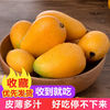 余绚 海南三亚小台芒5斤