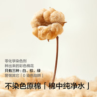 【不染色原棉】有棵树一次性内裤女士纯棉无菌10A裆医护级日抛裤 M