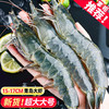 虾有虾途 XYXT 新鲜青岛大虾 单只15-17厘米 2kg