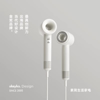 欧莱克 负离子升级等离子护发 电吹风 吹风嘴  陶白色