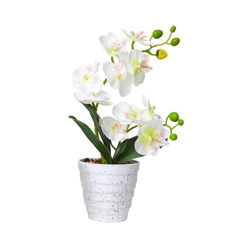 匠心绽放蝴蝶兰仿真花盆栽假花绿植盆景新年摆件家居桌面装饰双叉10花白色