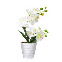 匠心绽放蝴蝶兰仿真花盆栽假花绿植盆景新年摆件家居桌面装饰双叉10花白色