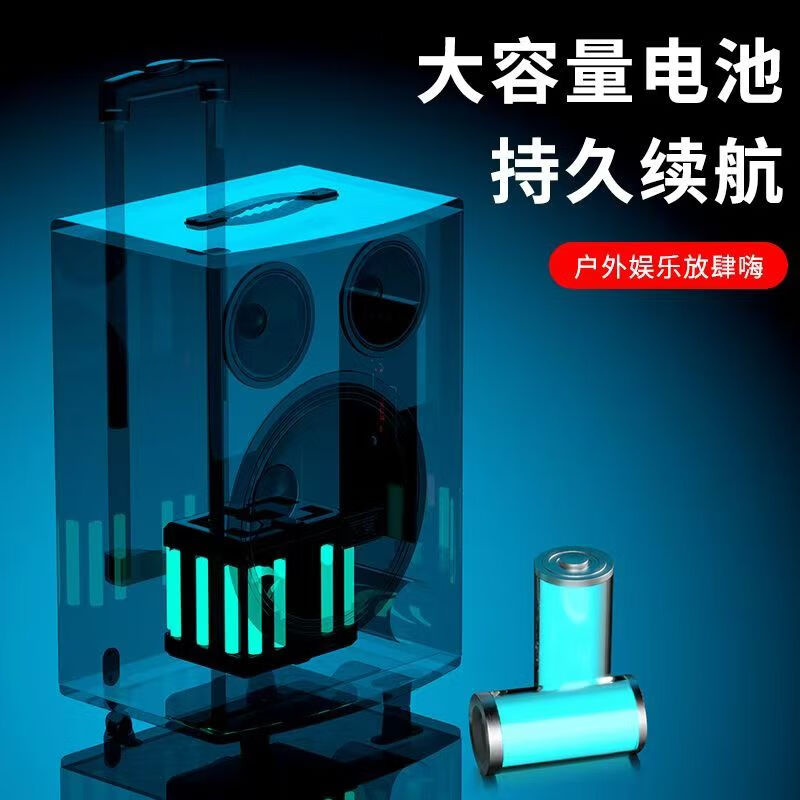 17寸3分频组合音箱+2只话筒