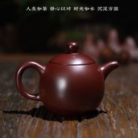 耐吉佳手把壶对嘴喝龙蛋潮州紫砂朱泥壶手工功夫茶壶个人手把壶可断水可 龙蛋壶140毫升