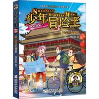 《少年冒险王·神州寻宝：藏宝图的秘密》