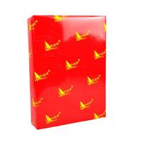 泓利得(HLD)蒙肯纸a4硬笔书法练习纸空白字帖复印打印护眼字典书籍印刷轻型纸 A4 80g【100张】