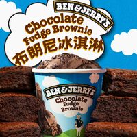 BEN&JERRY'S 本杰瑞 进口巧克力布朗尼冰淇淋 组合套餐