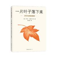 《一片叶子落下来》
