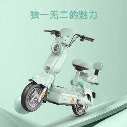 雅迪 冠能 C50 超长续航电动自行车 千代绿