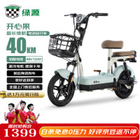 绿源 电动自行车乐骑9陶瓷刹车家用代步电瓶车液冷电机质保十年 绿