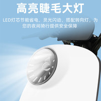 宝岛电动摩托车成人电动车男女通勤电瓶车外卖车长续航 /三挡变速/遥控启动 普通铅酸