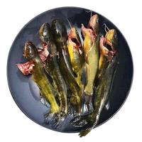 品鲜肴淡水鱼自然捕获生态昂刺鱼 黄辣丁 黄骨鱼 嘎鱼鲜活现杀生鲜水产 400g净重（三去净膛）现杀4-7条