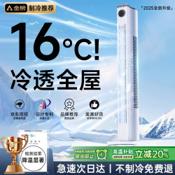 适璞 空调扇强劲制冷电风扇家用冷风机无叶塔扇遥控定时静音客厅卧室宿舍立式落地摇头风扇 70cm