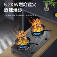 先科（SAST）煤气灶双灶台式燃气灶家用灶具天然气燃气灶液化气灶节能猛火灶爆炒炉具带熄火保护 【标配】5.0kw旋火爆炒+一级能效 天然气