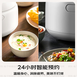 松下（Panasonic）饭蹲蹲电饭煲多功能家用电饭锅柴火煮饭锅3-4个人智能预约定时冷饭加热4升大容量 DQ102【 3.2L 】备长炭厚釜
