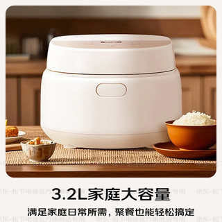 松下（Panasonic）饭蹲蹲电饭煲多功能家用电饭锅柴火煮饭锅3-4个人智能预约定时冷饭加热4升大容量 DQ102【 3.2L 】备长炭厚釜