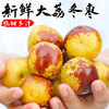 倾青果园 陕西大荔新鲜冬枣  净重4.5-5斤装