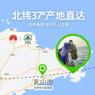 喵满分免洗乳山生蚝鲜活海产活新鲜牡蛎大号牡蛎冷链送达