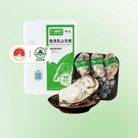 喵满分免洗乳山生蚝鲜活海产活新鲜牡蛎大号牡蛎冷链送达