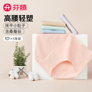 FENTENG 芬腾 内裤女士5条装