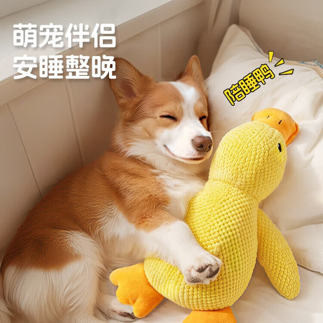 茨格曼 宠物狗玩具狗狗自己玩解闷自嗨耐咬磨牙发声小狗幼犬遛狗逗狗神器