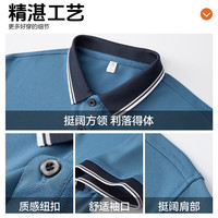 罗蒙(ROMON)凉感透气短袖t恤男2025夏季时尚休闲舒适上衣爸爸装T恤衫 5T258910艾绿 (短袖POLO衫) 4XL