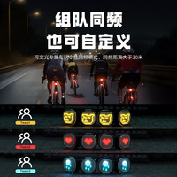  TOWILD 智能刹车感应 自行车尾灯