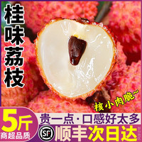 铂果 桂味荔枝5斤礼盒装新鲜时令水果树上熟荔枝老树大果整箱