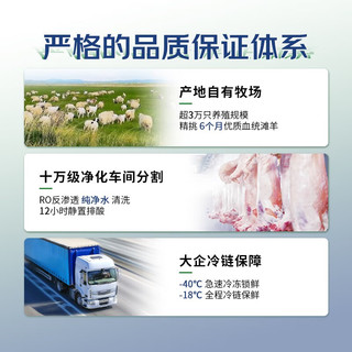 边塞风宁夏盐池滩羊干腌羊腿排400g 空气炸锅烧烤食材 清真羊肉 【烧烤食材】干腌羊腿排400g