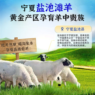 边塞风宁夏盐池滩羊干腌羊腿排400g 空气炸锅烧烤食材 清真羊肉 【烧烤食材】干腌羊腿排400g