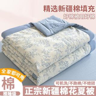 谷蝶 棉花被子被芯夏凉被薄款空调被夏被夏季可机洗宿舍单双人全