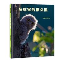 《丛林里的猫头鹰》(精装)