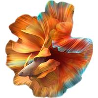 Xiaomi 小米 MIX FOLD 5G手机 12GB+512GB 黑色