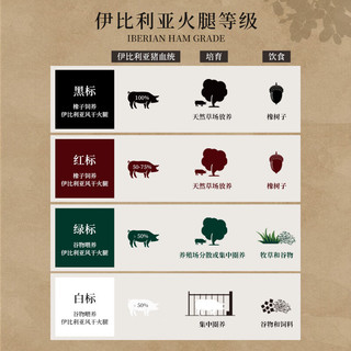 巴玛火腿 西班牙黑标后腿手工切片 50g 袋装